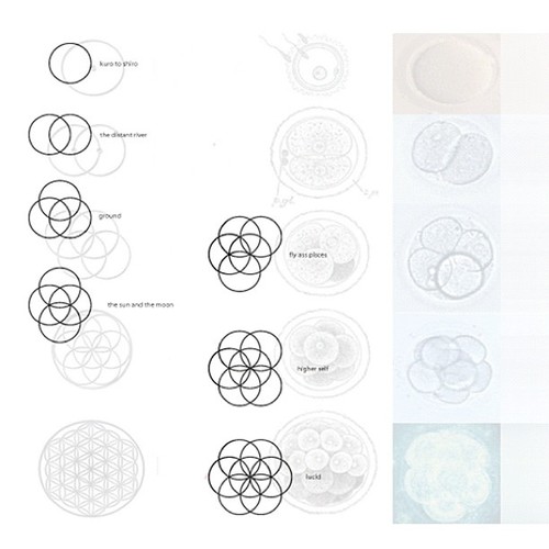 Cocaine80s_flyasspieces_artwork