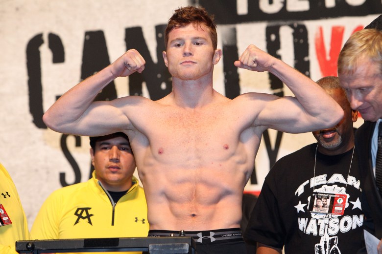 05 Canelo IMG_1563