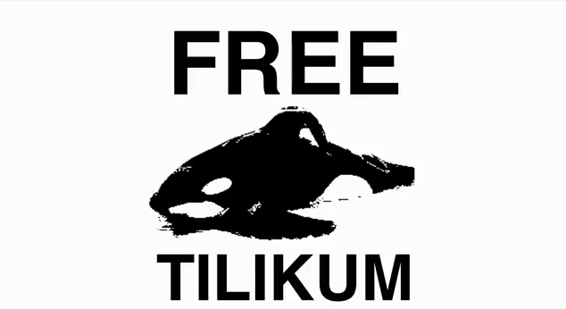 SirMichaelRocks_SeaWorld