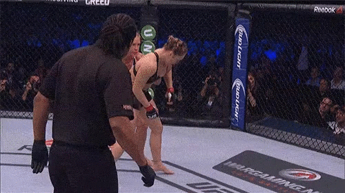 Rousey_Holm_kick