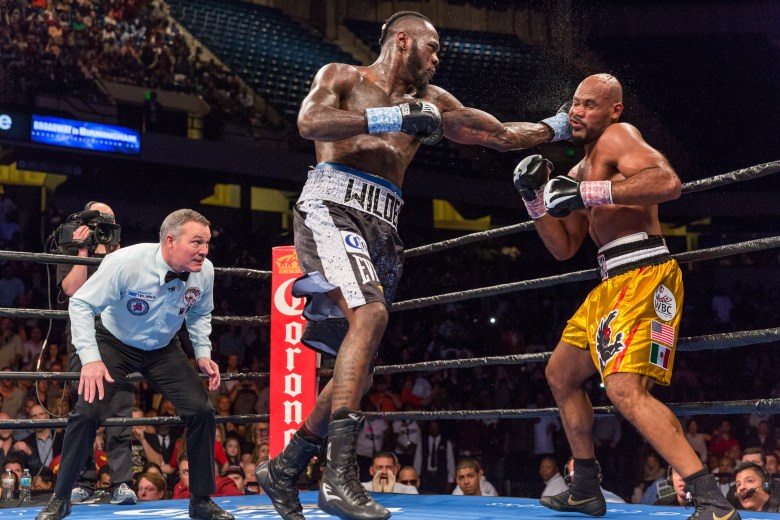 deontay-wilder-vs-gerald-washington-february-25_-2017_02_25_2017_fight_ryan-hafey-_-premier-boxing-champions